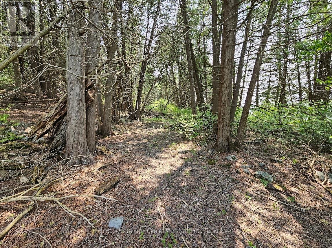 0000 CEDARSTONE ROAD Image 9