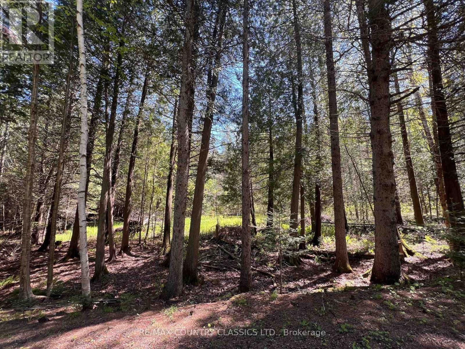 1374 ROCHEFORT ROAD Image 31