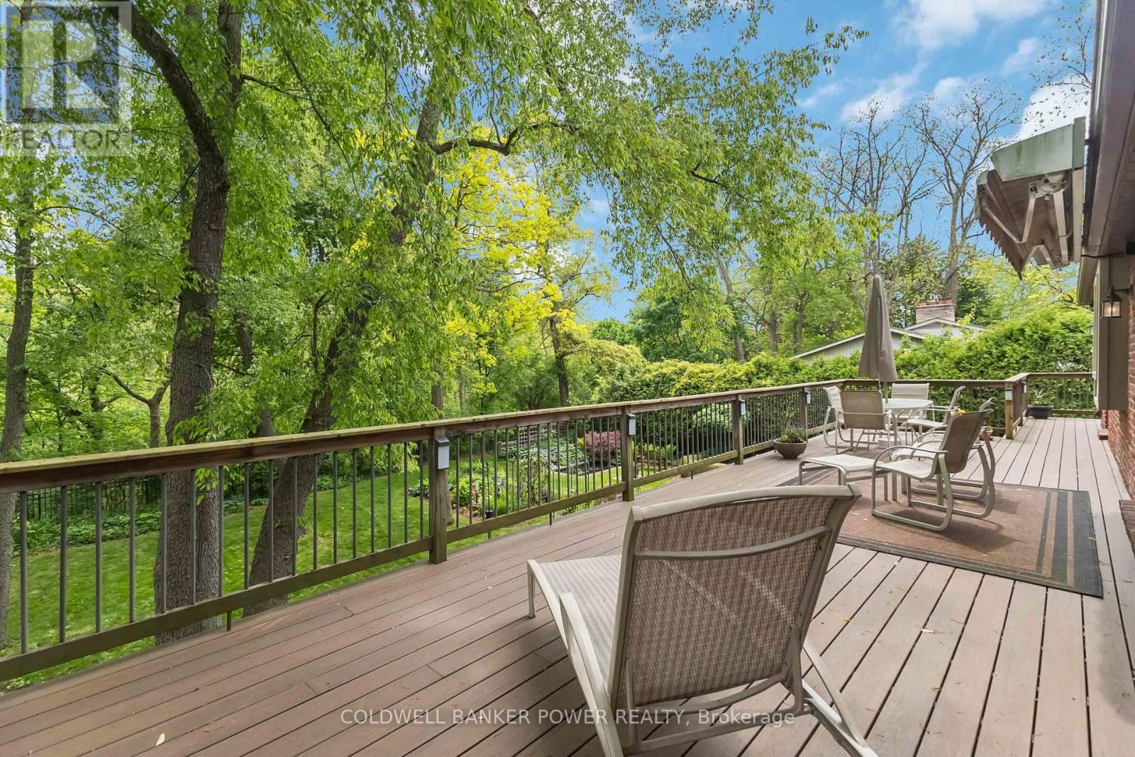 41 HAMPTON CRESCENT Image 3