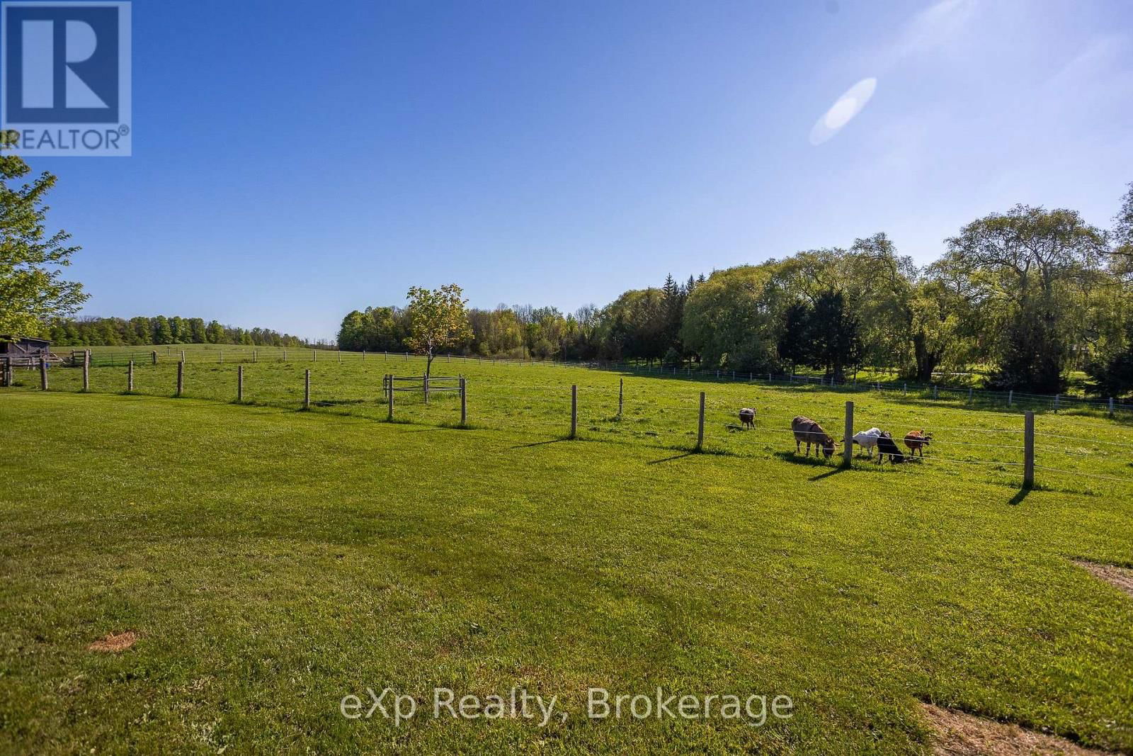 418485 CONCESSION A Image 40