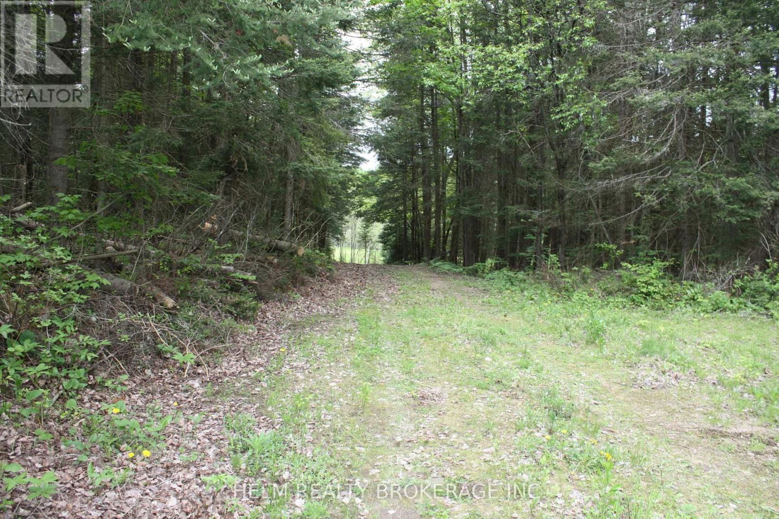 839 GRAND DESERT ROAD Image 11