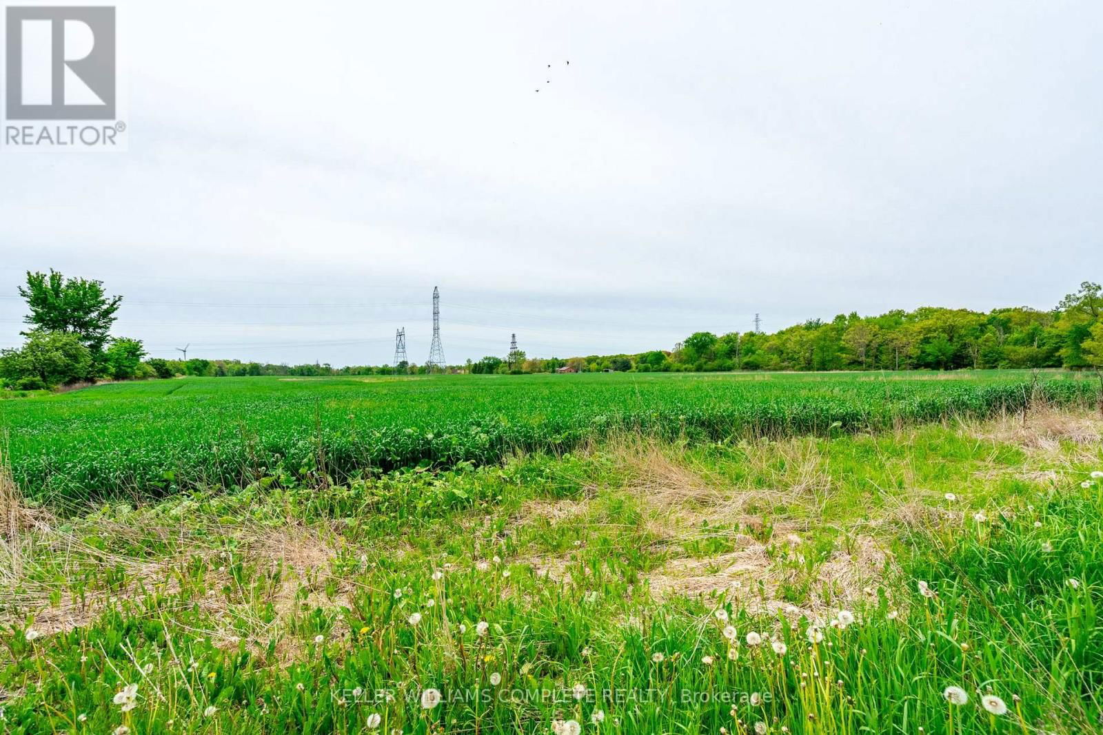 6856 SIXTEEN ROAD Image 14