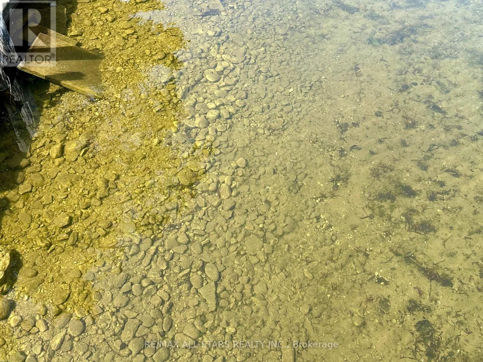 161 DRIFTWOOD SHORES ROAD Image 30
