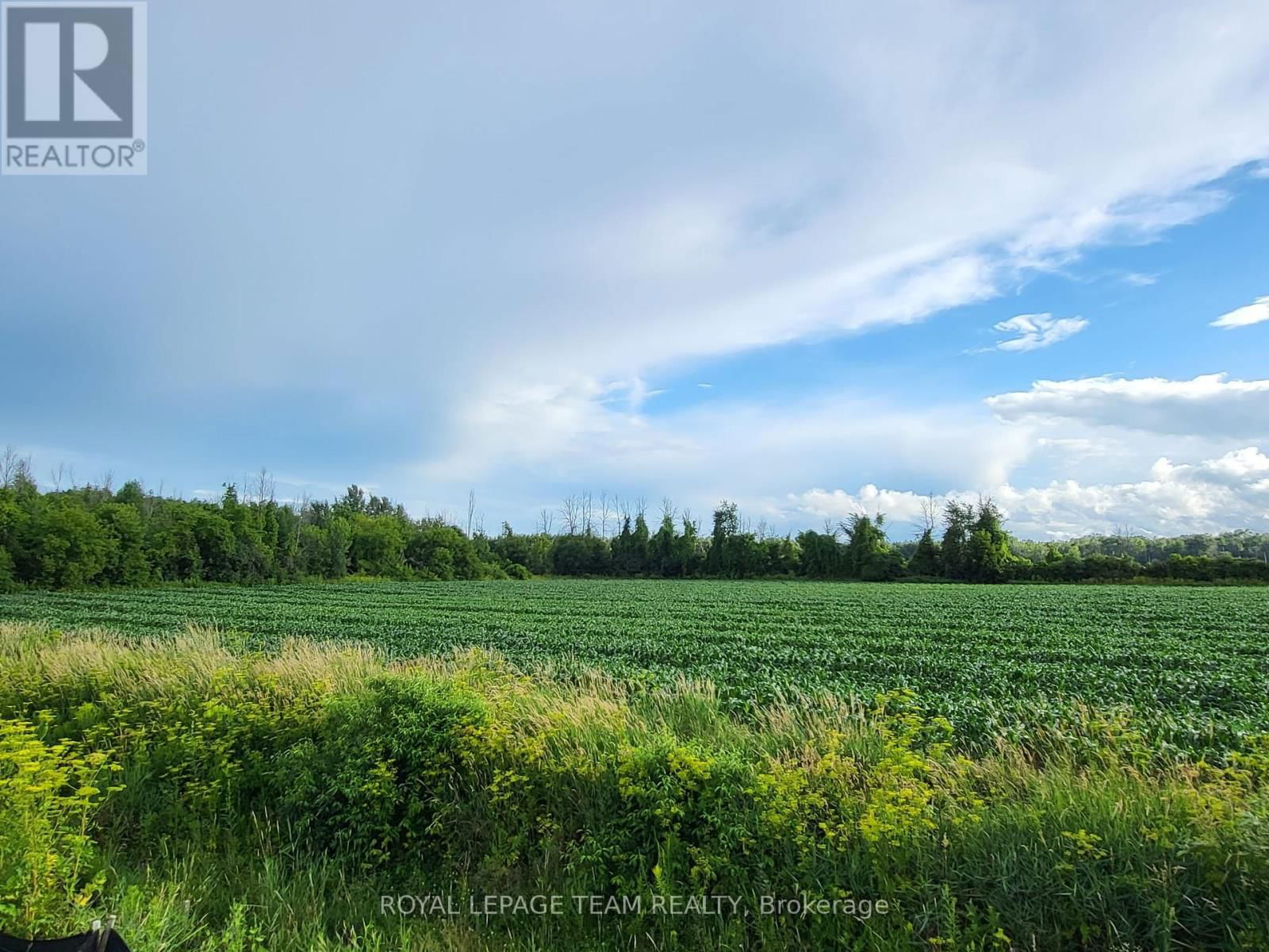 165 YEARLING CIRCLE Image 22