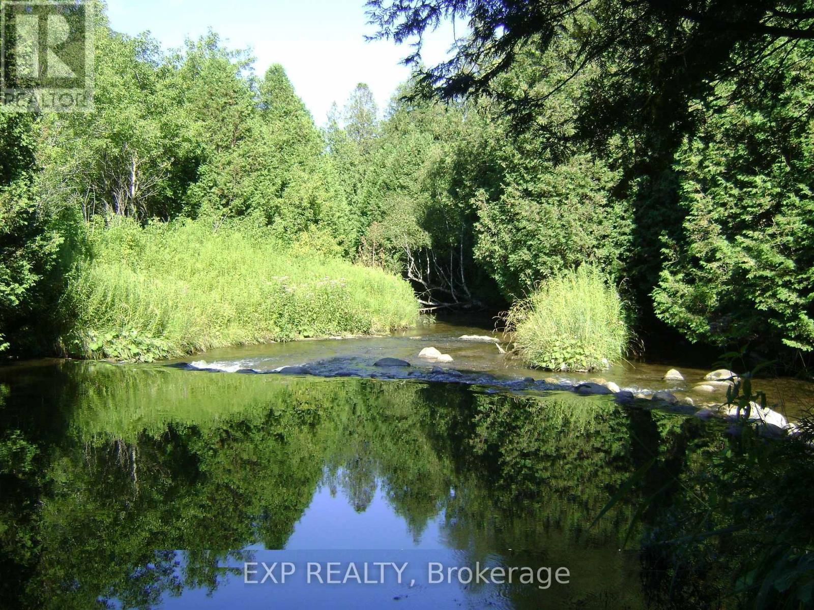 5693 EAST TOWNLINE ROAD Image 13