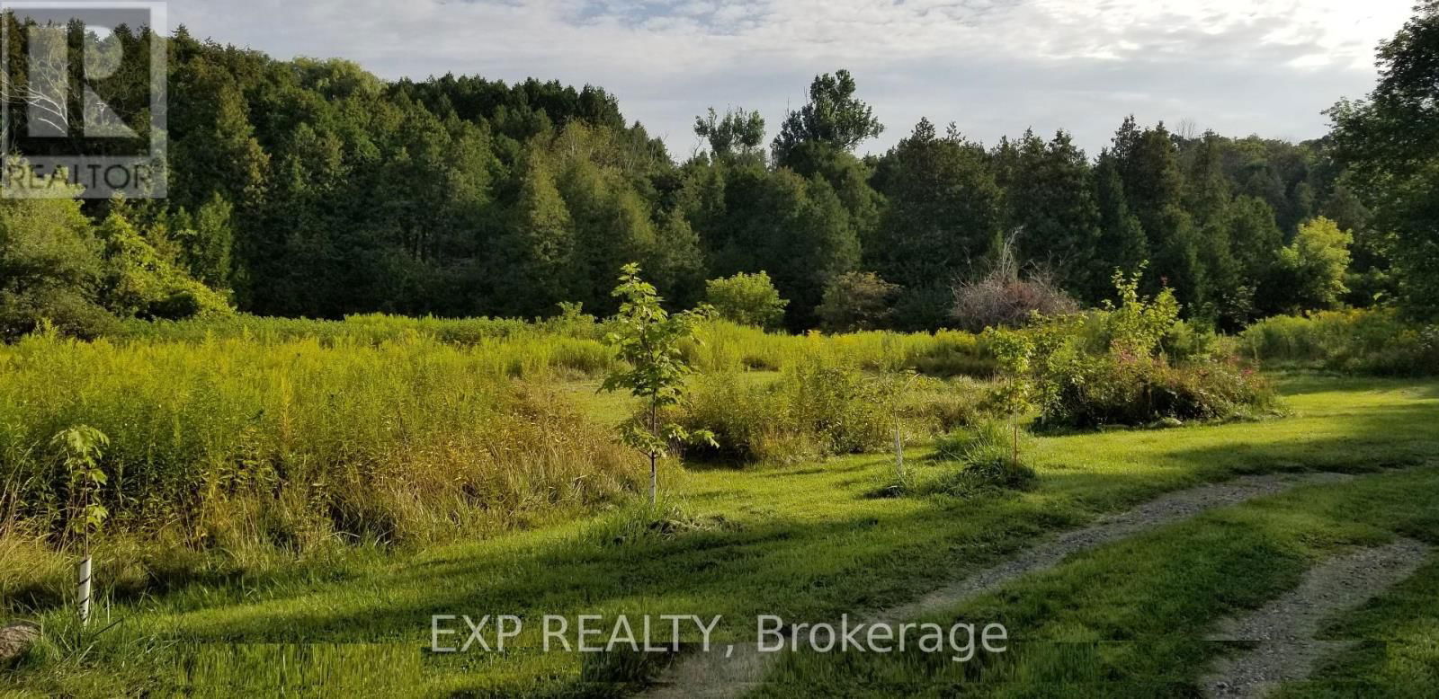 5693 EAST TOWNLINE ROAD Image 31