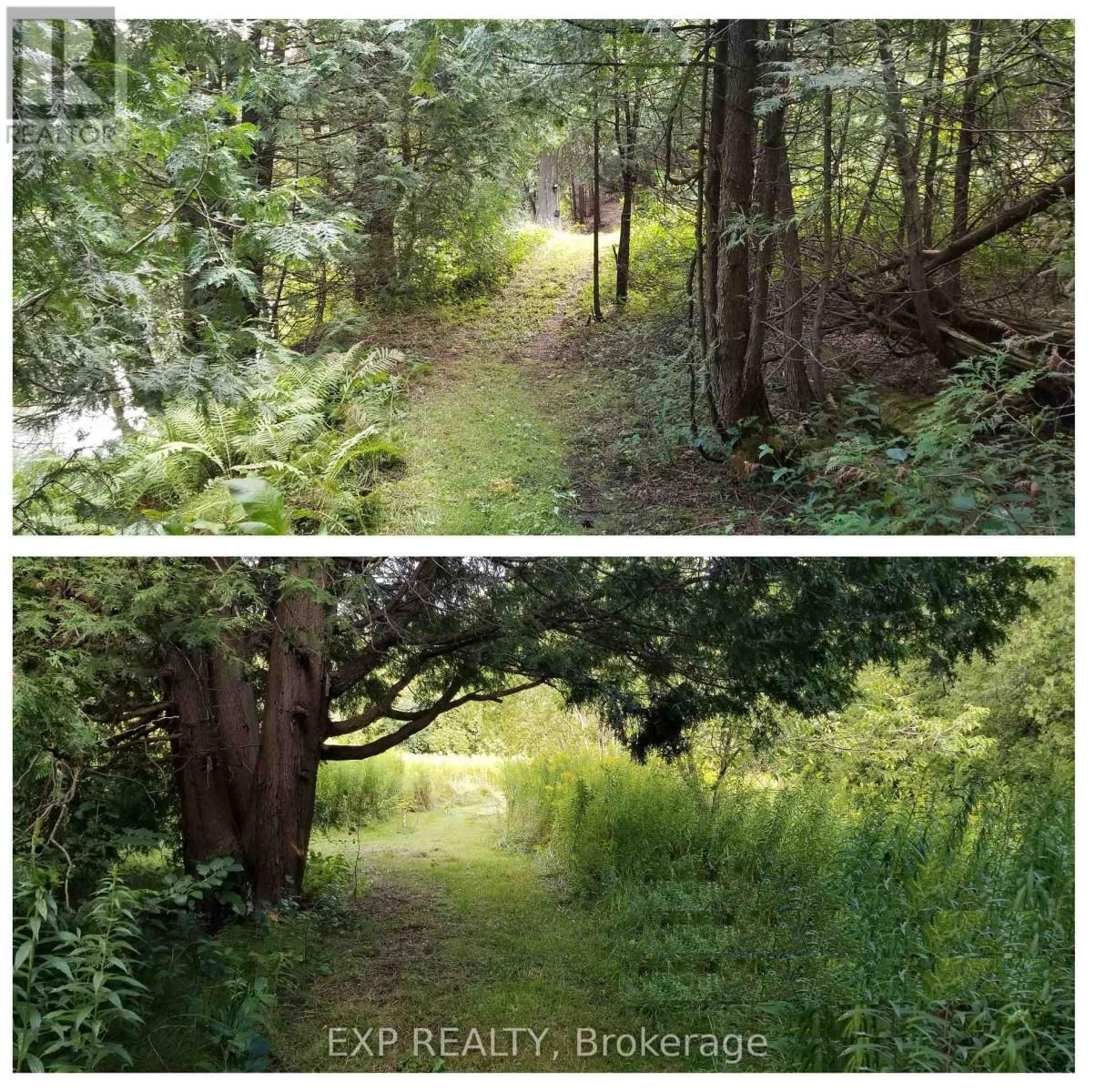 5693 EAST TOWNLINE ROAD Image 9