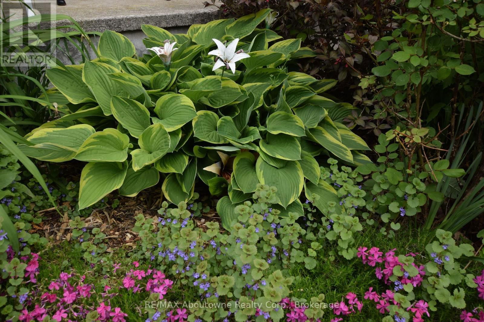 5 VIMY STREET Image 37
