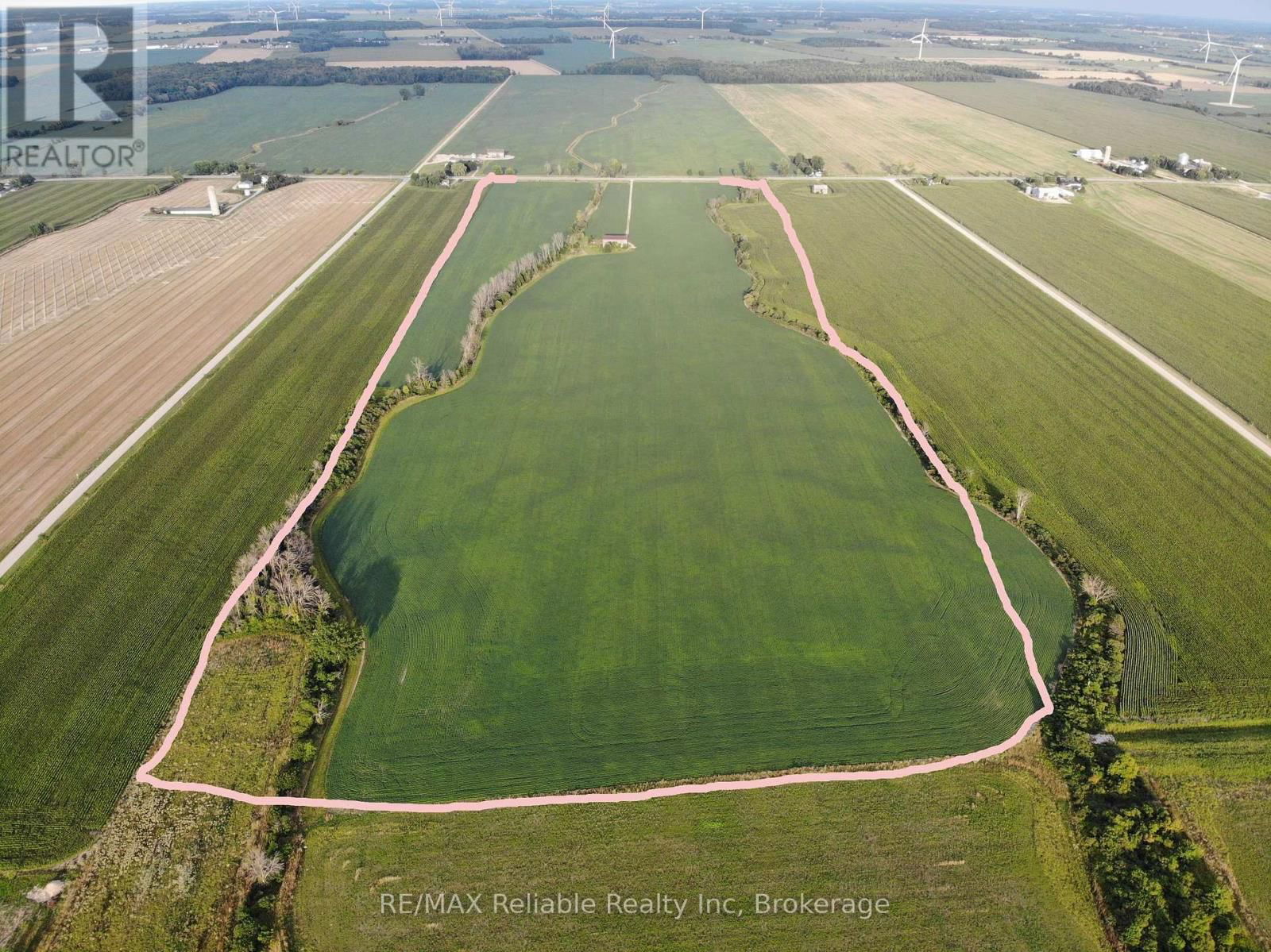Primary Property View