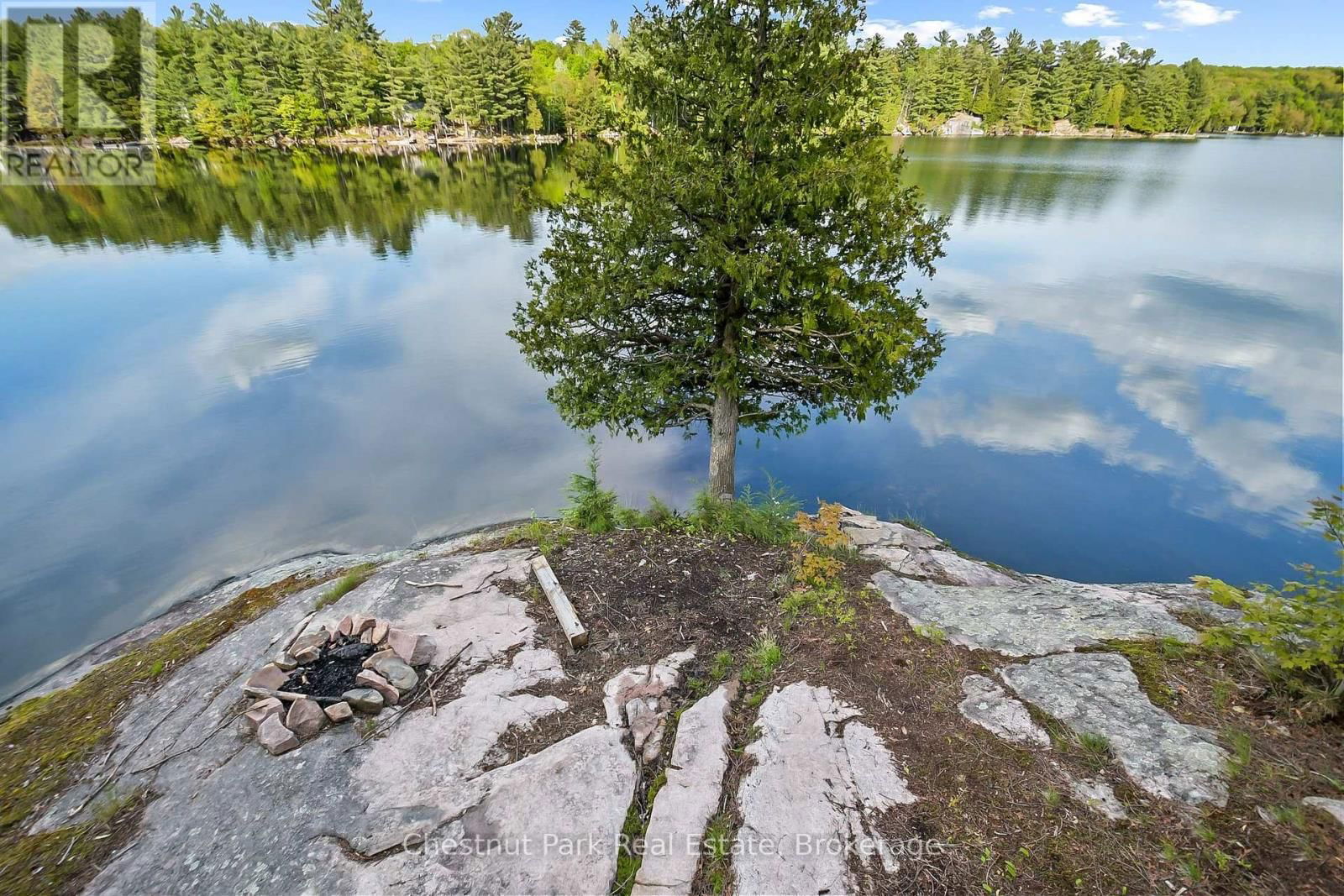2438 KUSHOG LAKE ROAD Image 44