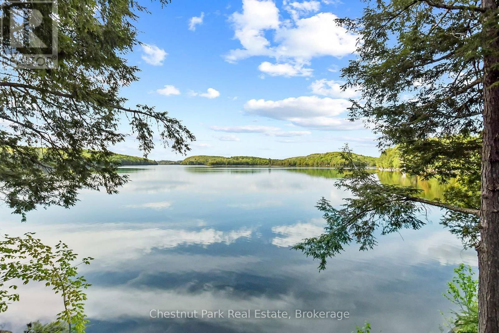 2438 KUSHOG LAKE ROAD Image 45