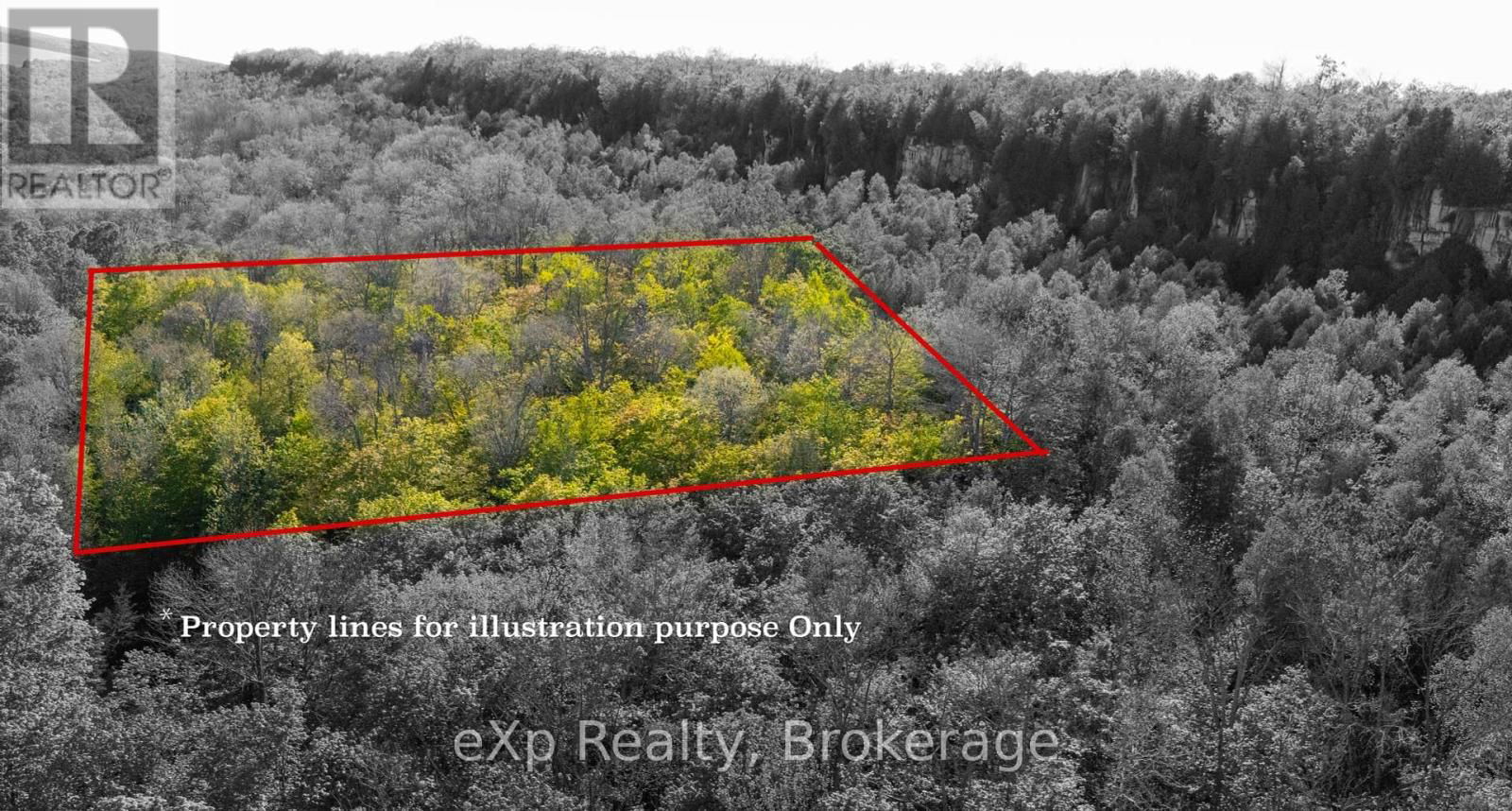 Primary Property View