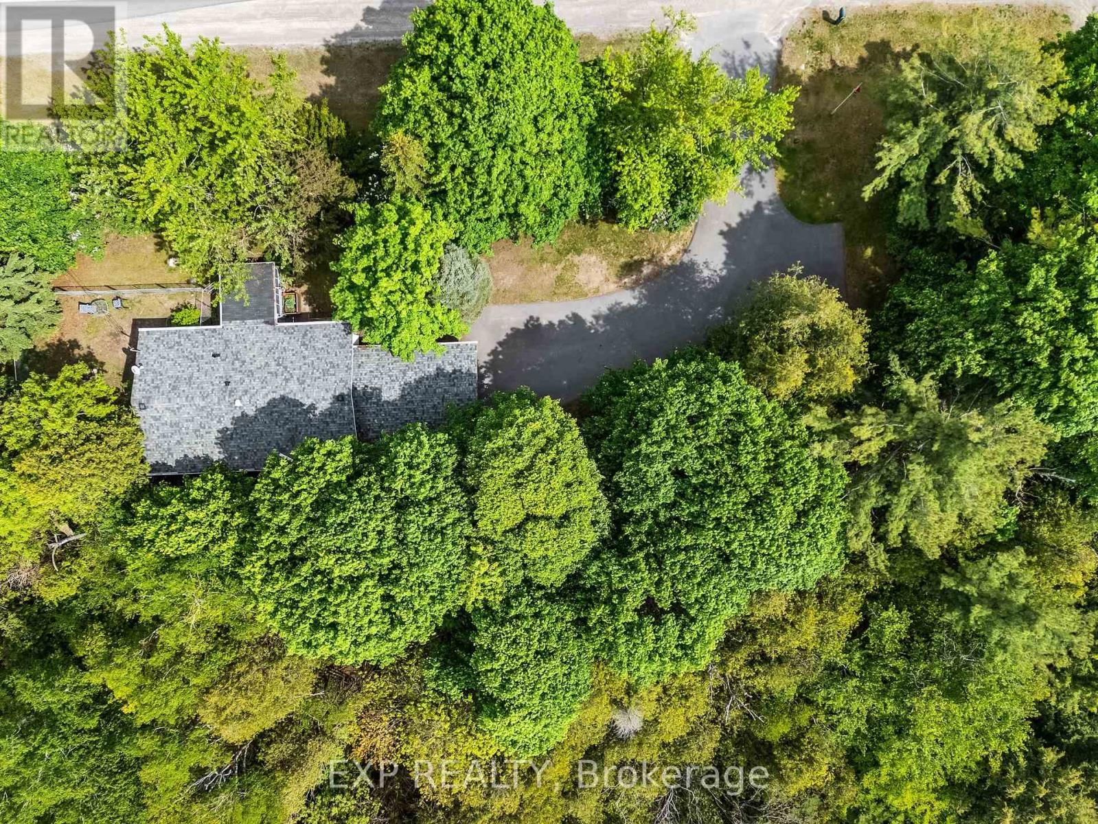 4558 COUNTY ROAD 45 Image 3