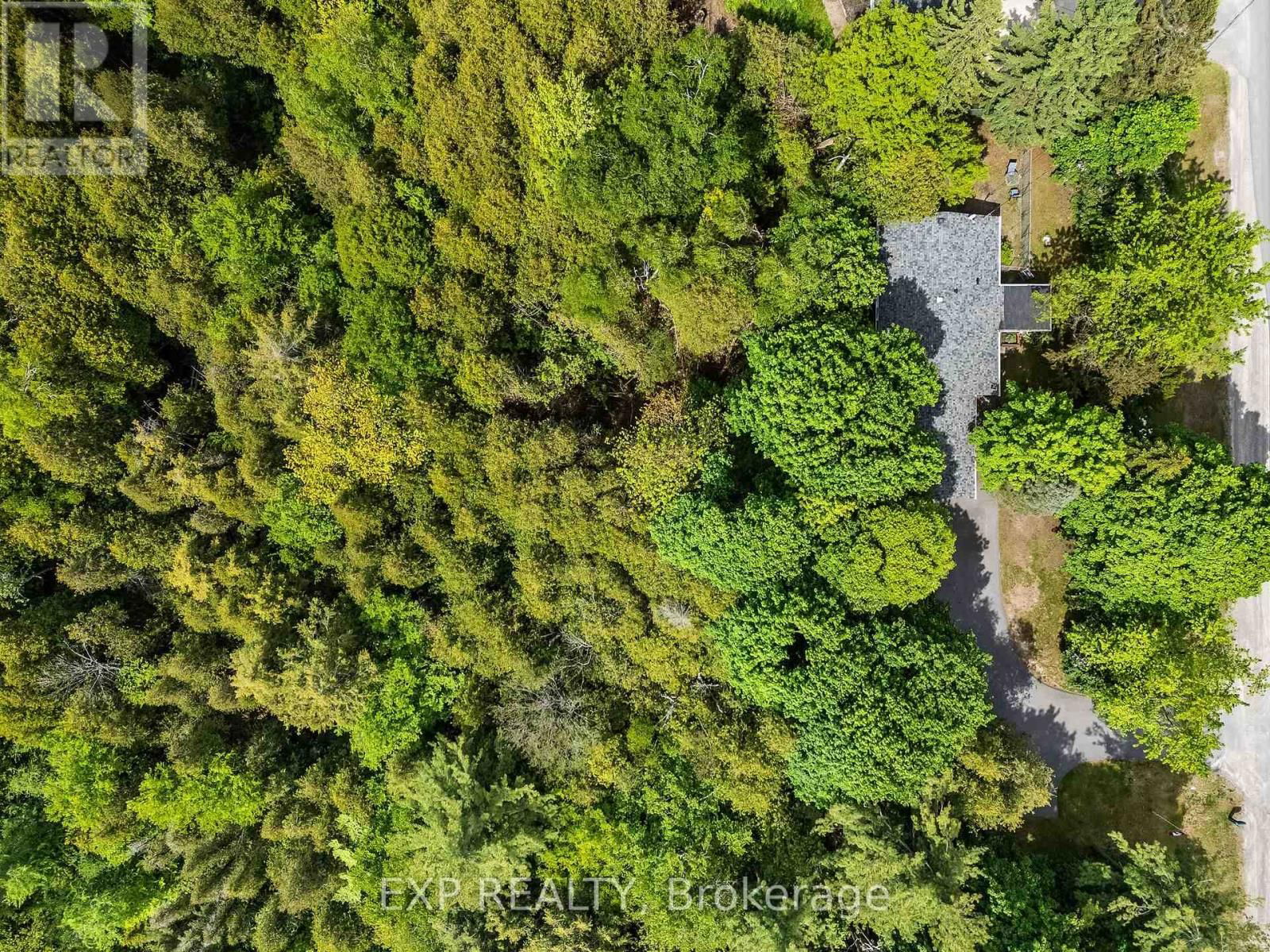 4558 COUNTY ROAD 45 Image 31
