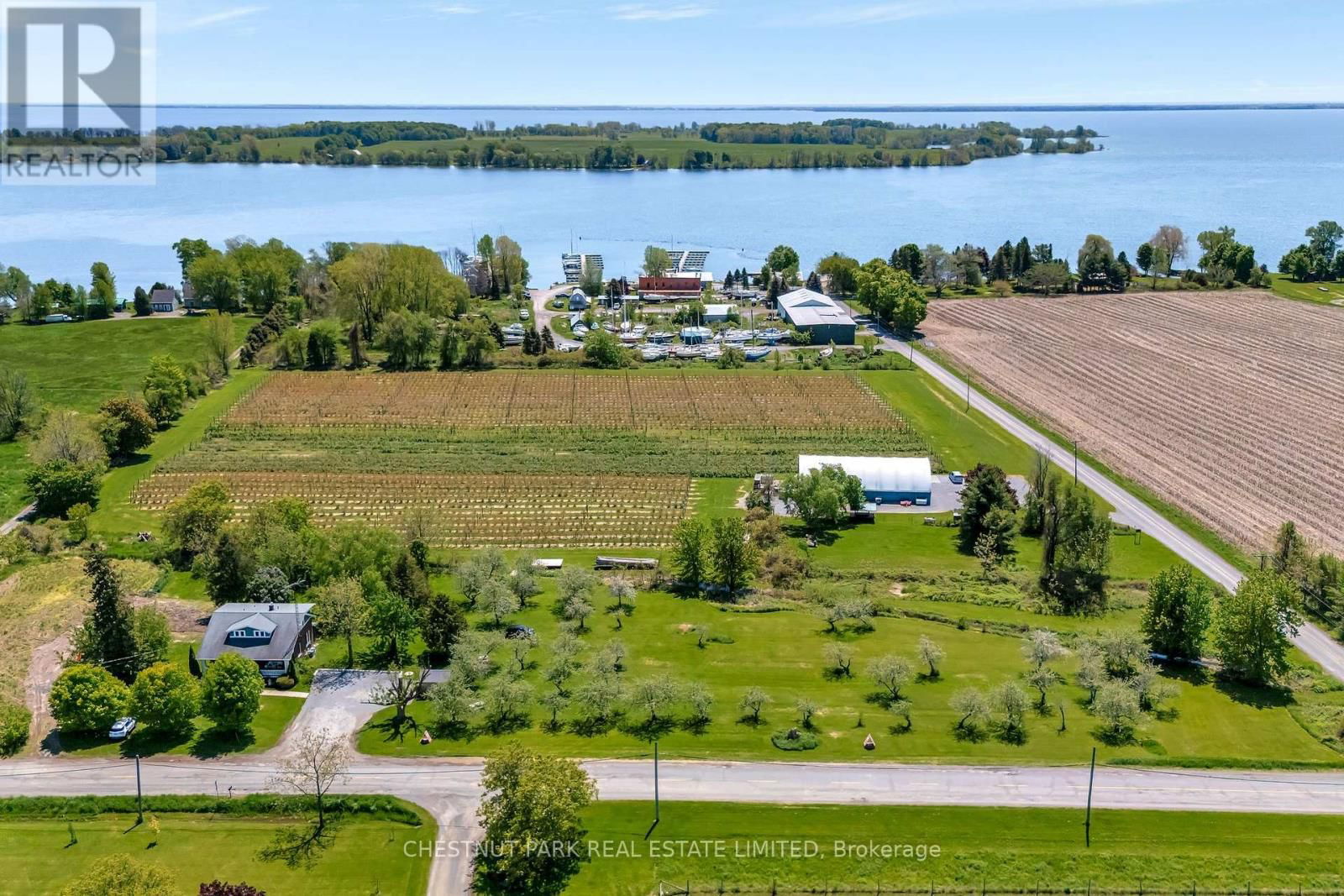Primary Property View