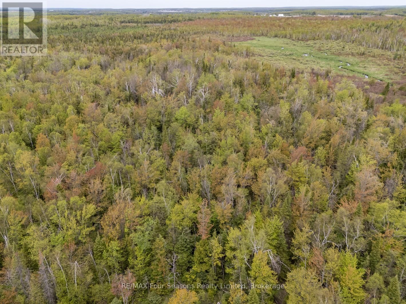 348305 4TH CONCESSION B CORNERS Image 6