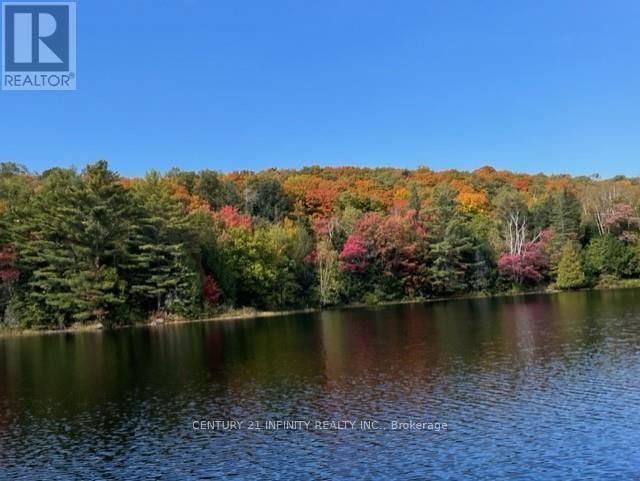 1124 DAM ROAD Image 41