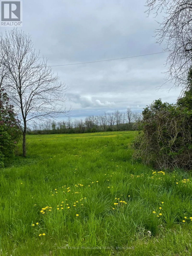 Tertiary Property View