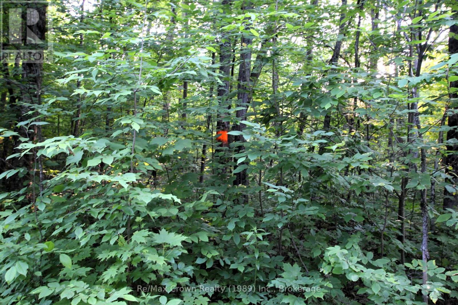 0A PILGERS RD ROAD Image 12