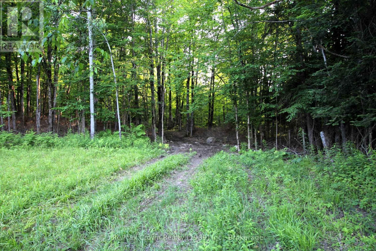 0A PILGERS RD ROAD Image 6