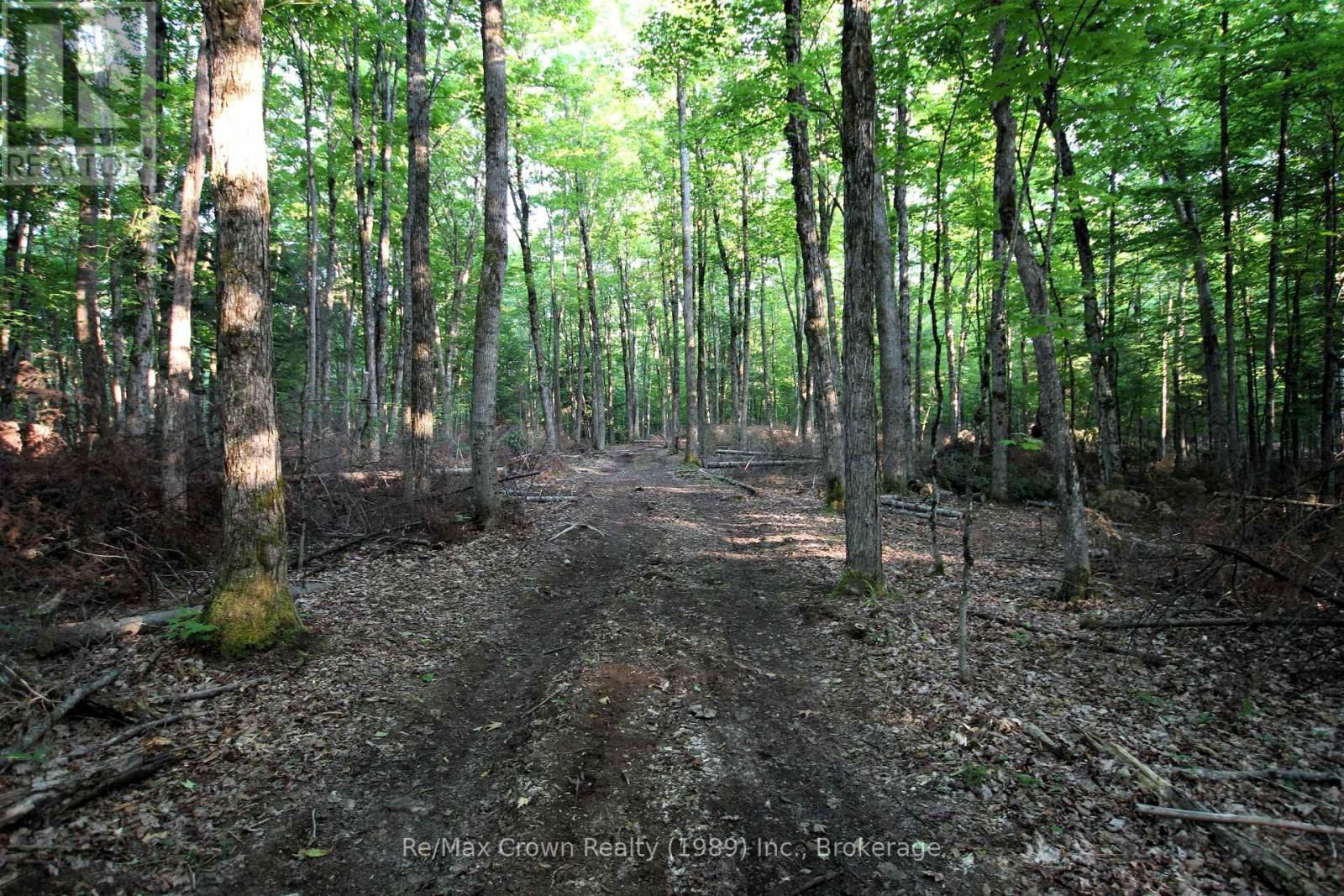 0A PILGERS RD ROAD Image 7