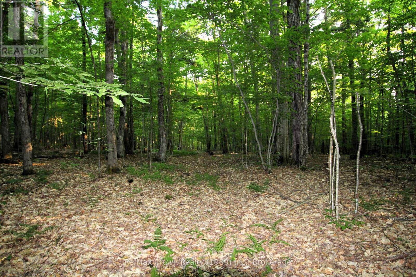 0A PILGERS RD ROAD Image 9