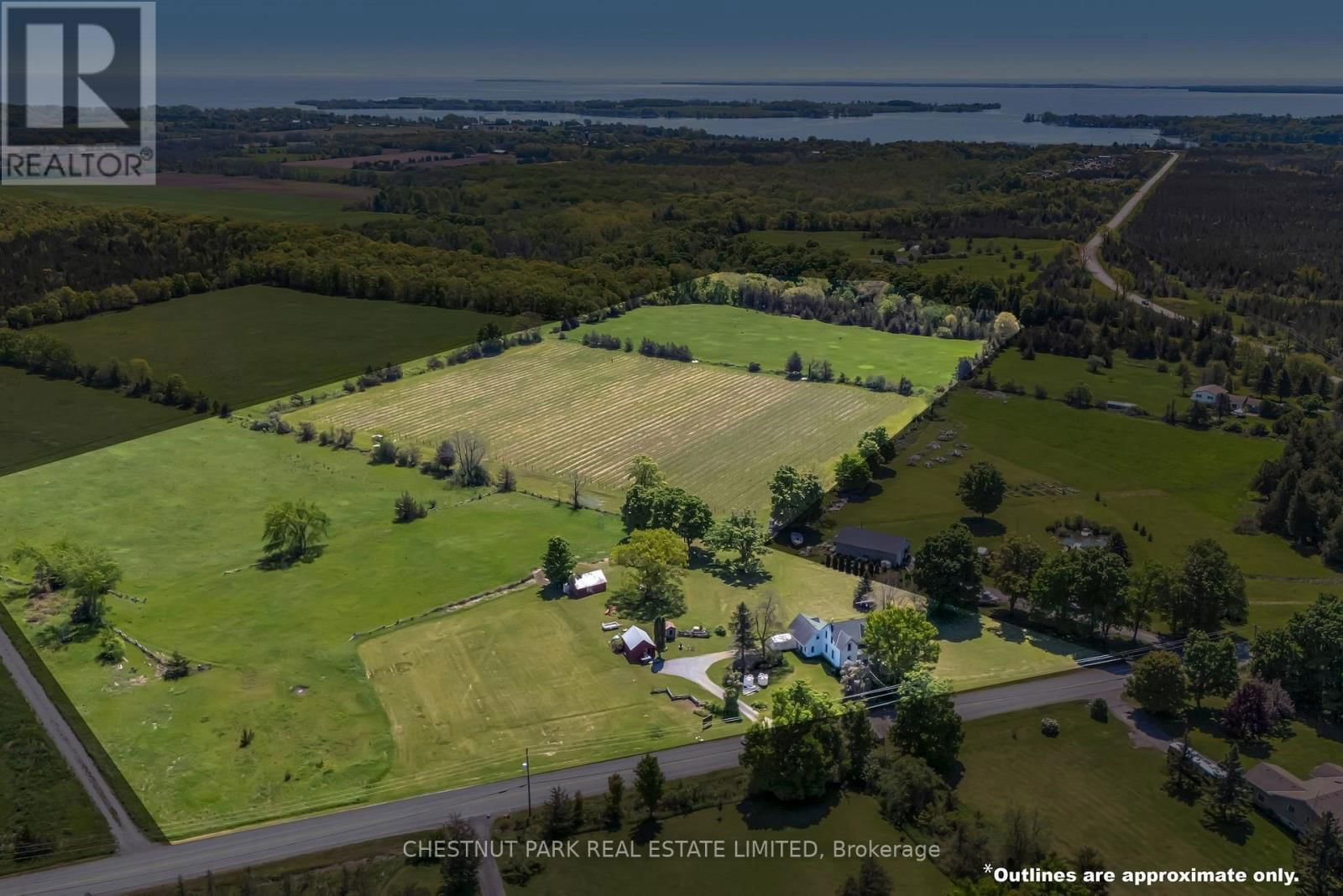 Primary Property View
