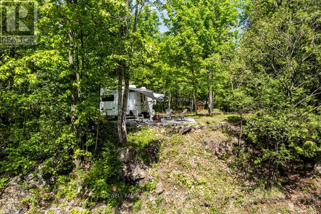 00 SCOTCH LINE Image 14