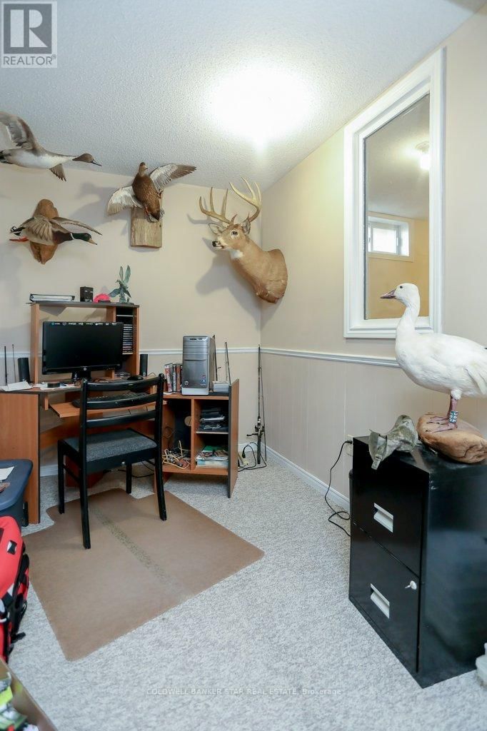 31 SINCLAIR CRESCENT Image 33