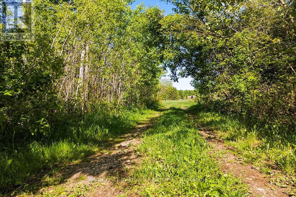 375533 6TH LINE Image 15