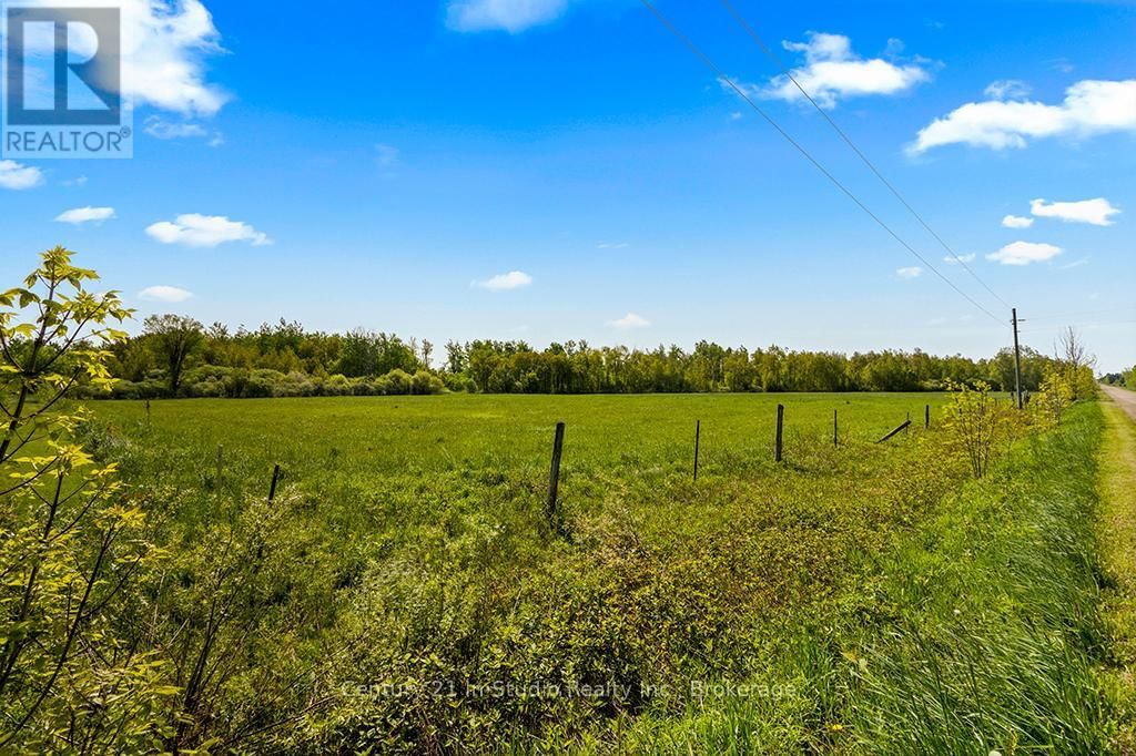 375533 6TH LINE Image 7