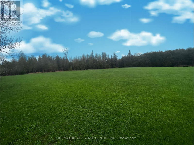 Tertiary Property View