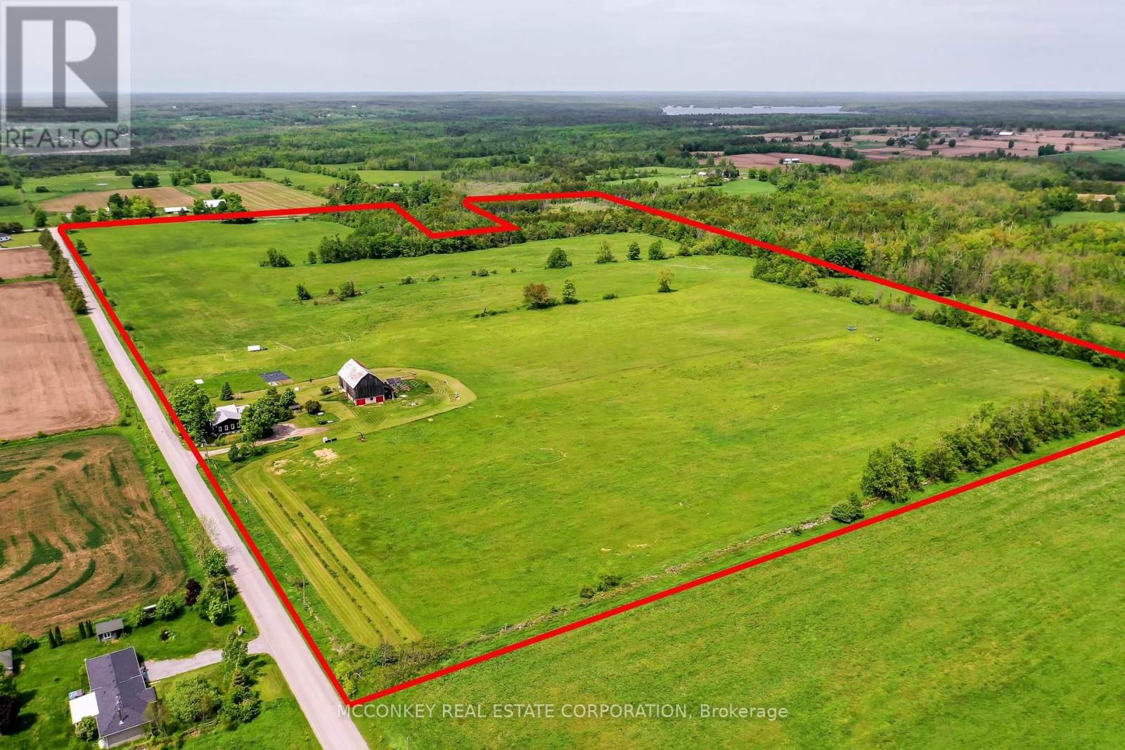 Primary Property View