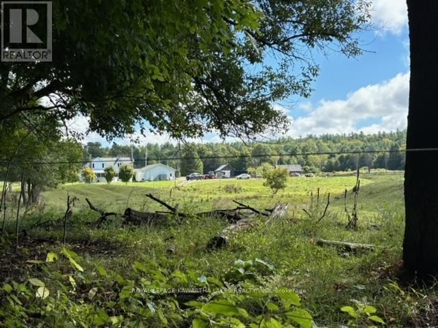 2433 COUNTY ROAD 121 ROAD Image 31