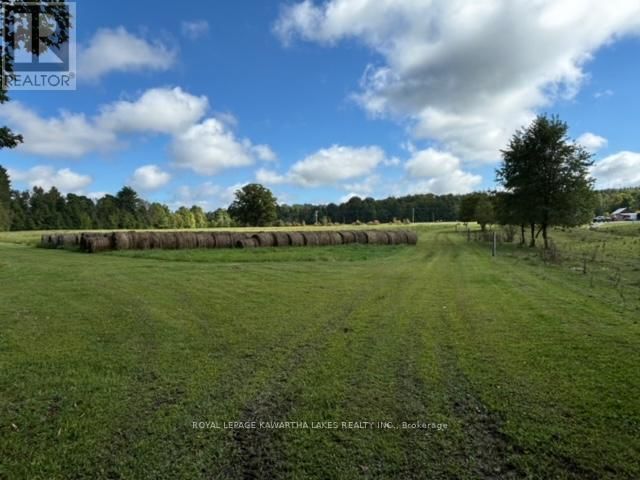 2433 COUNTY ROAD 121 ROAD Image 32