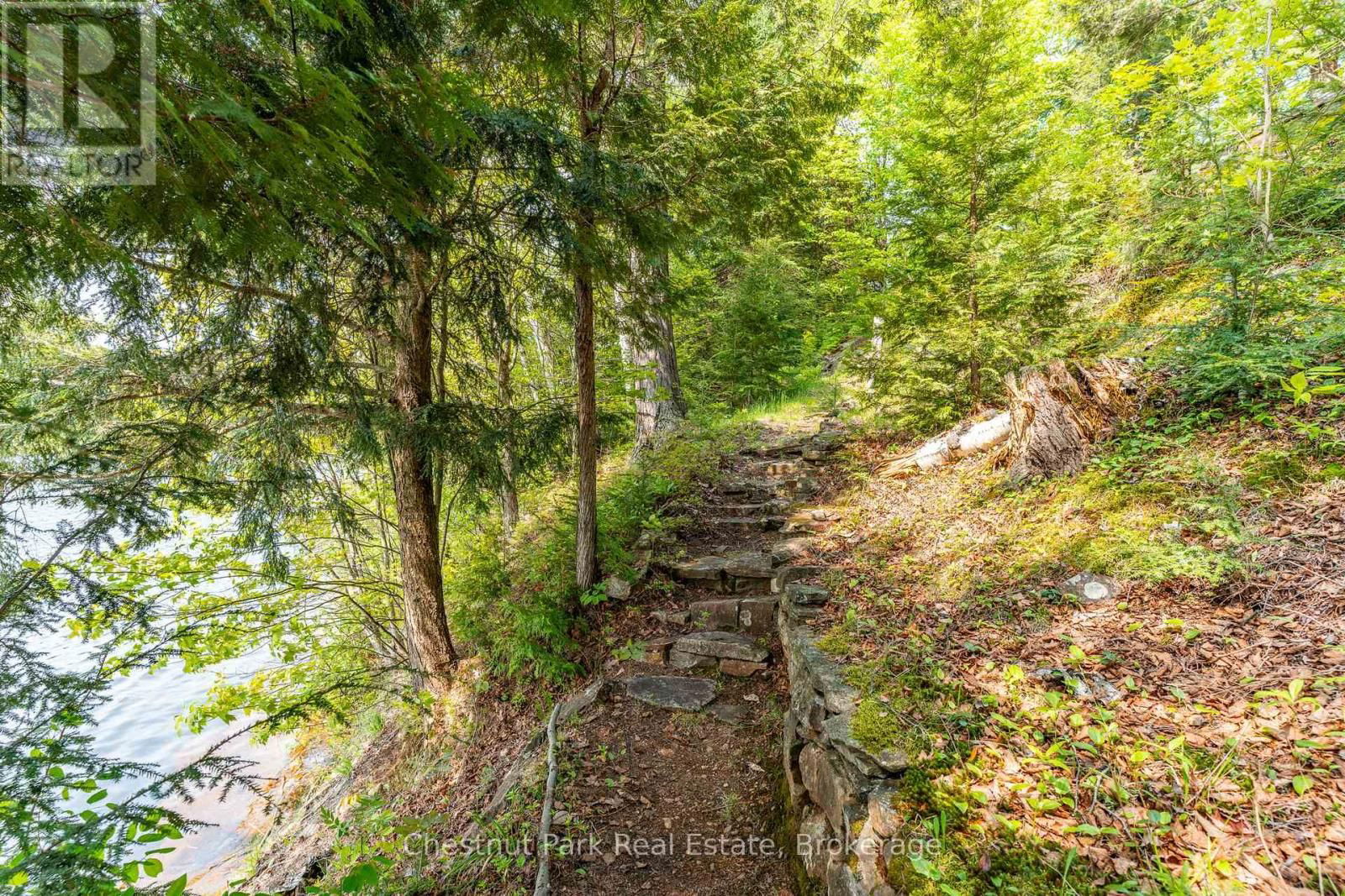 1089 THUMB CREEK TRAIL Image 33