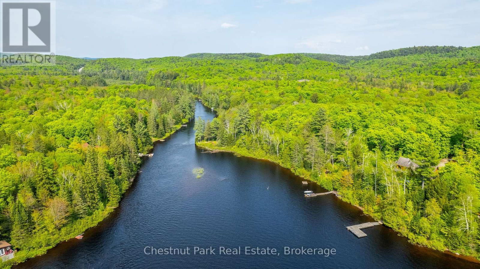1089 THUMB CREEK TRAIL Image 42