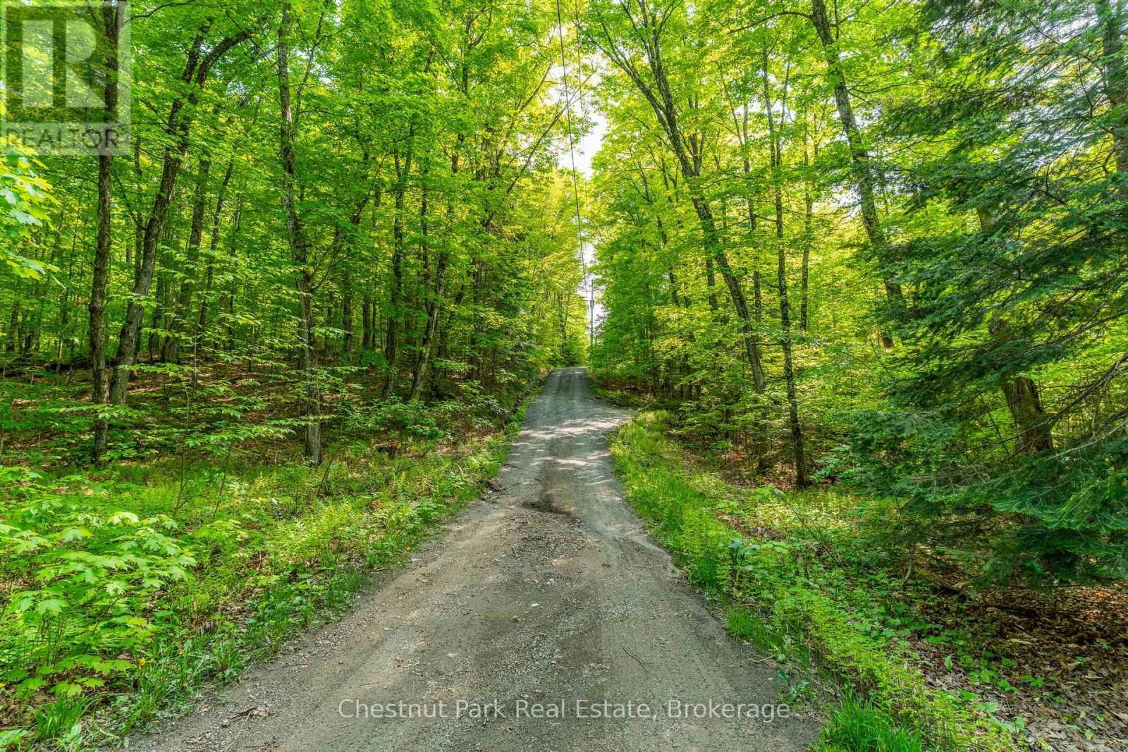 1089 THUMB CREEK TRAIL Image 43