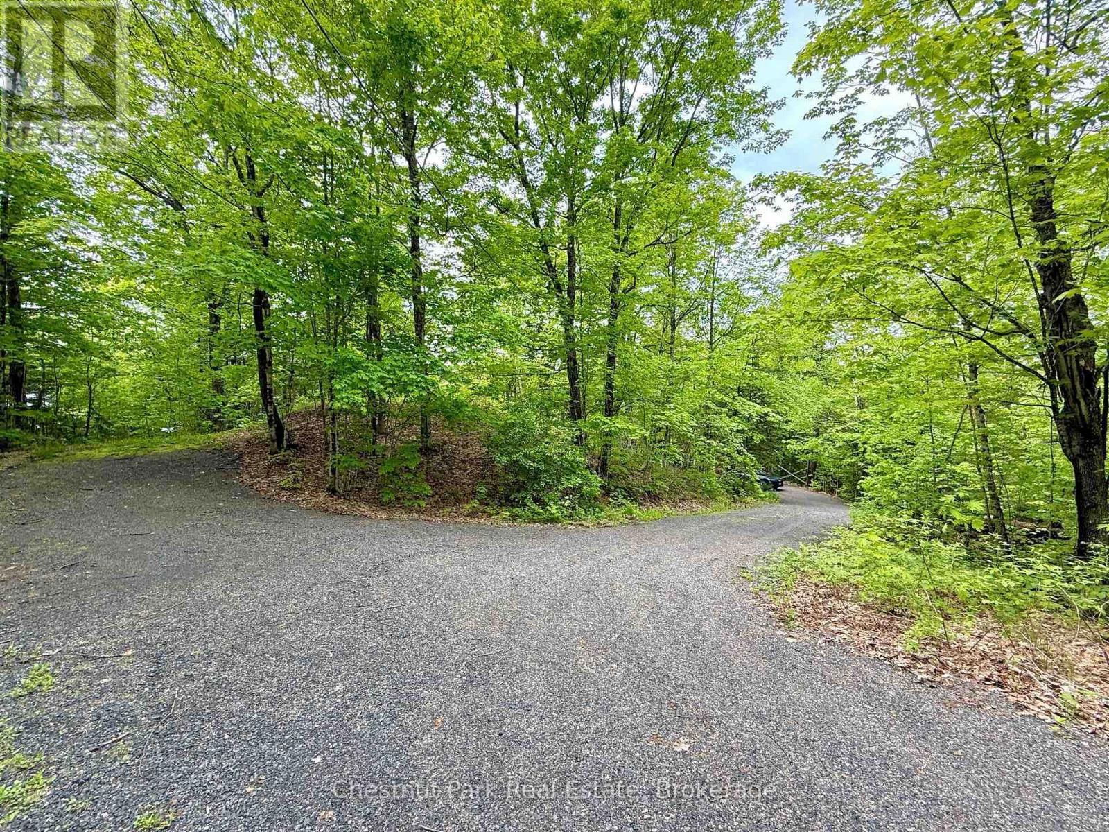 1089 THUMB CREEK TRAIL Image 44