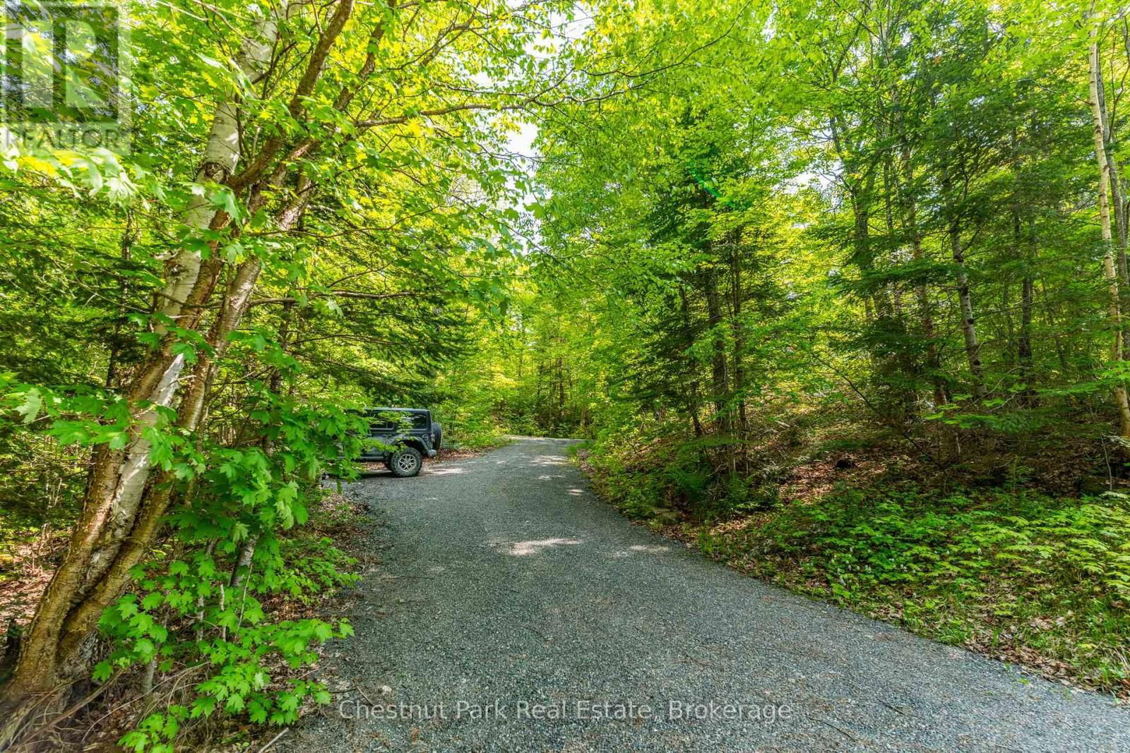 1089 THUMB CREEK TRAIL Image 45