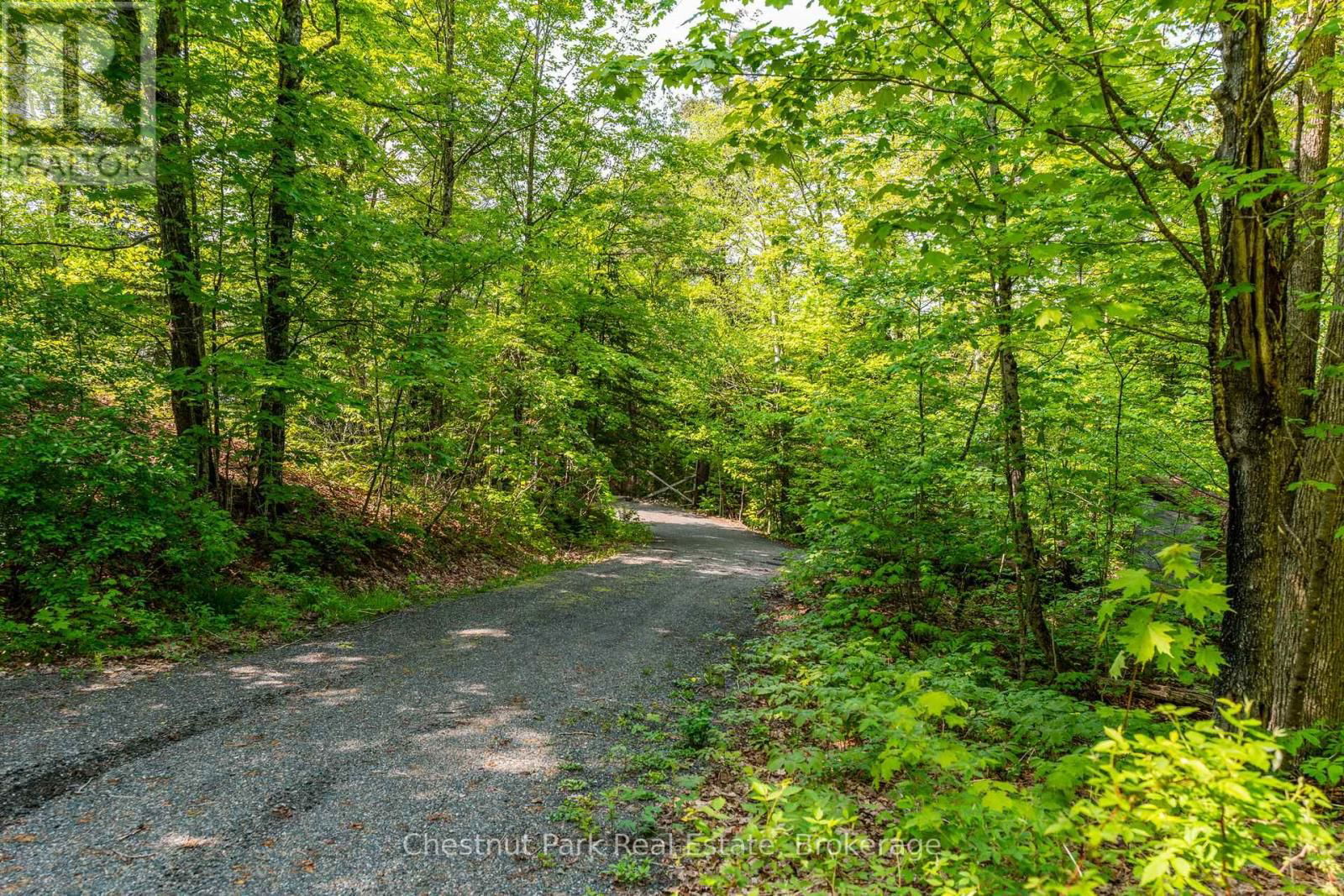 1089 THUMB CREEK TRAIL Image 46
