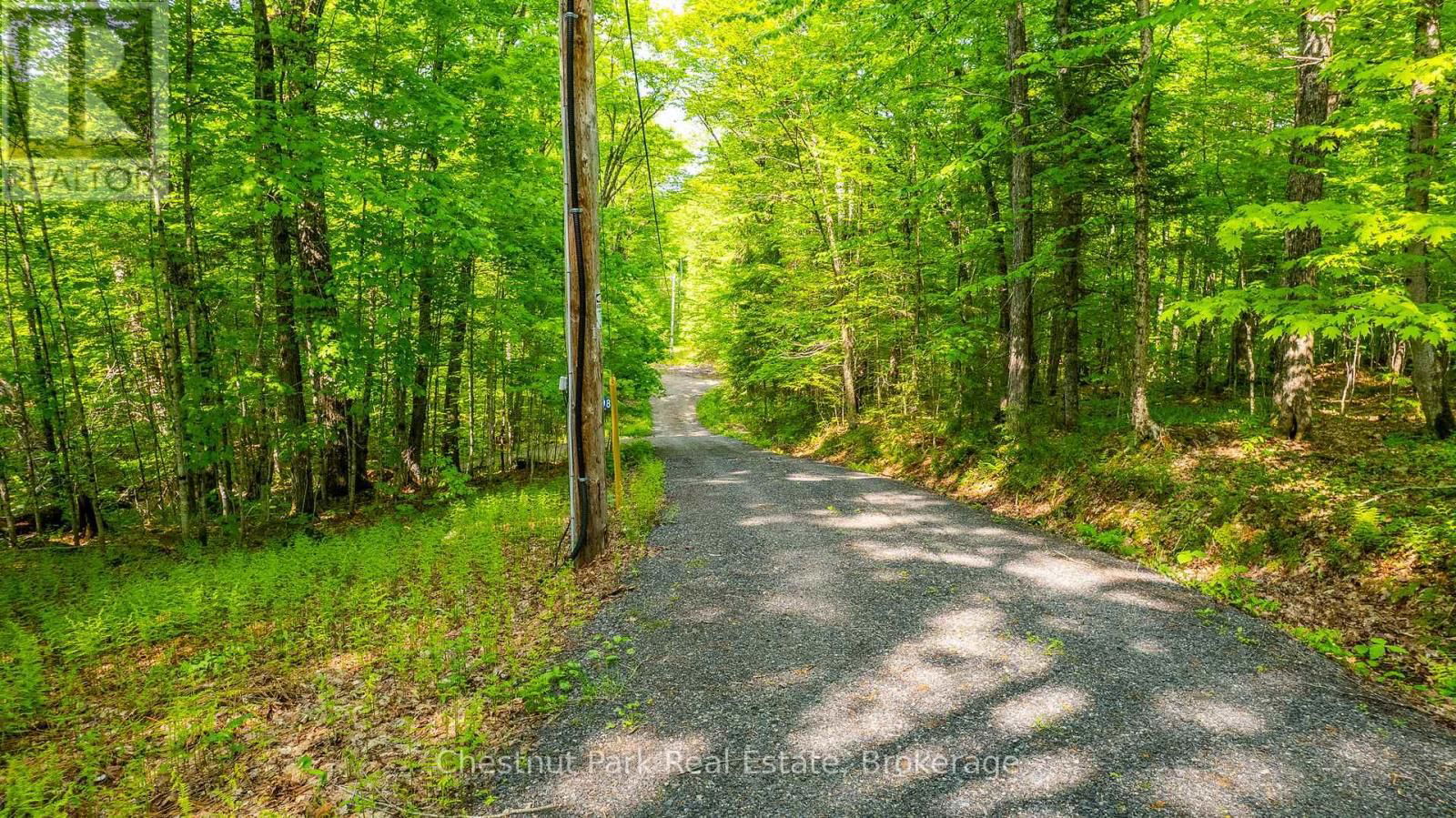1089 THUMB CREEK TRAIL Image 47