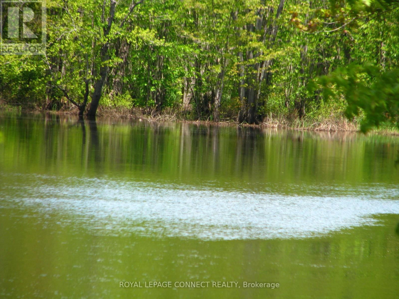 1256 ELM TREE ROAD Image 4