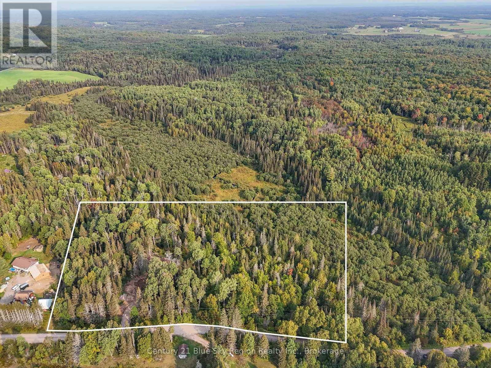 Primary Property View