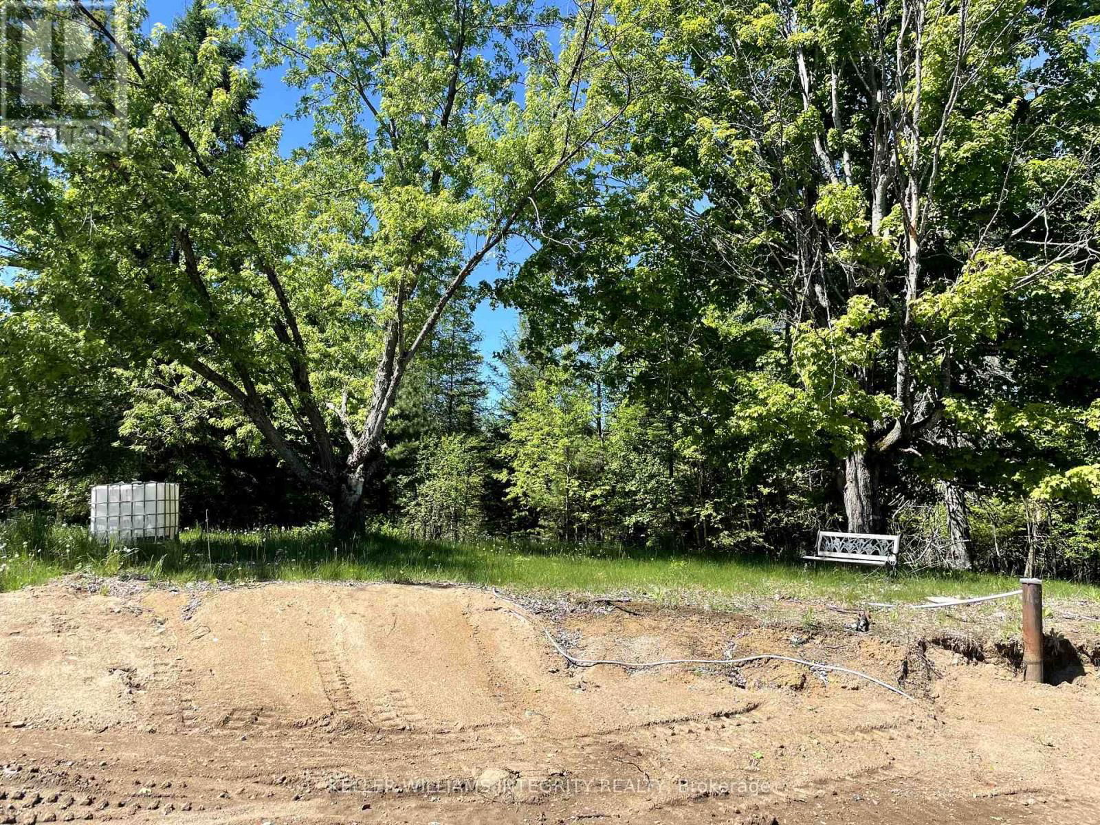 1326 2ND DALHOUSIE CORNERS Image 6