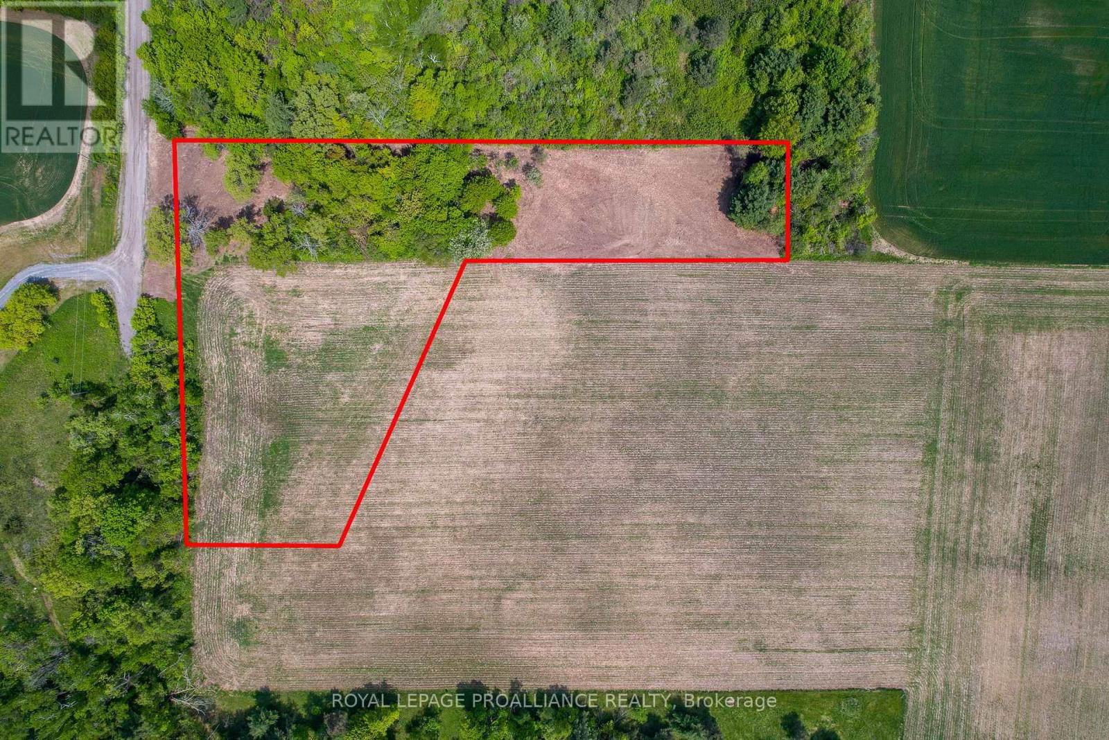 Primary Property View
