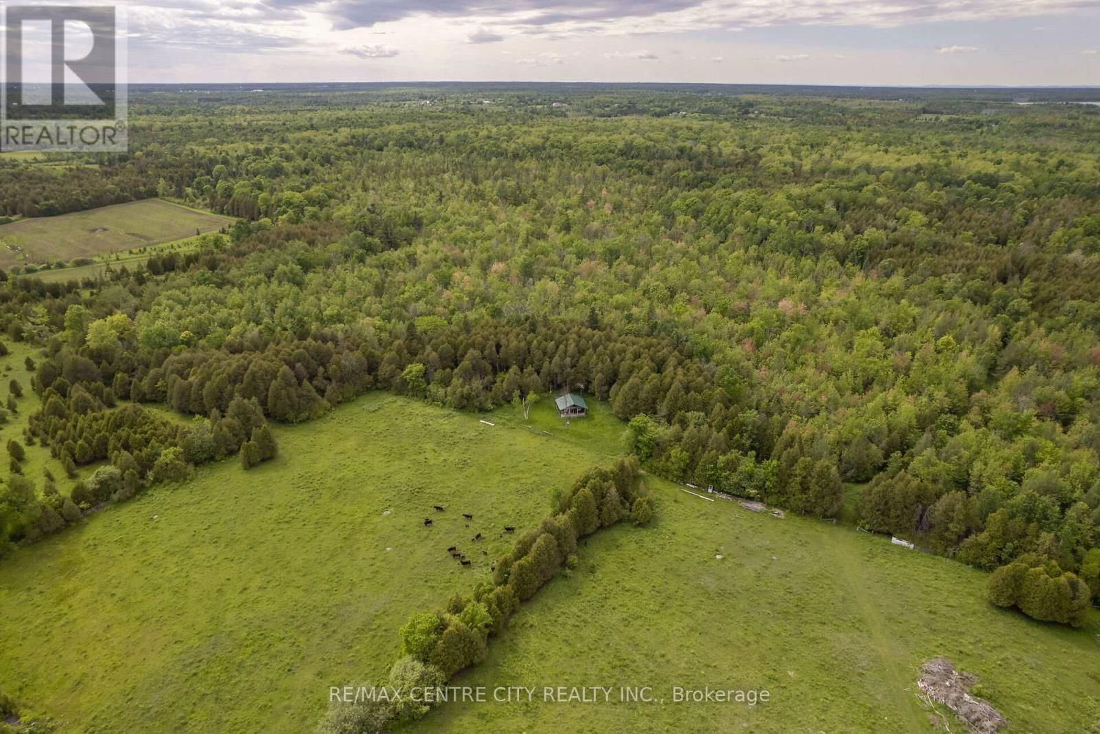 19267 COUNTY 25 ROAD Image 9