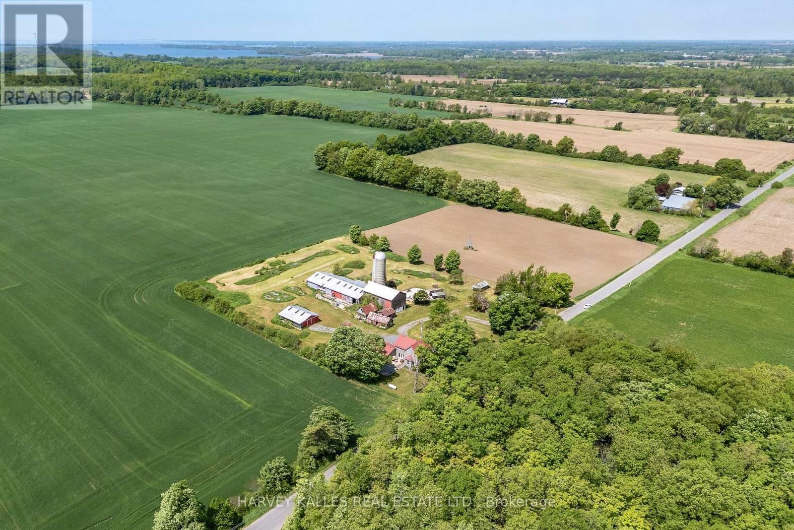 Primary Property View