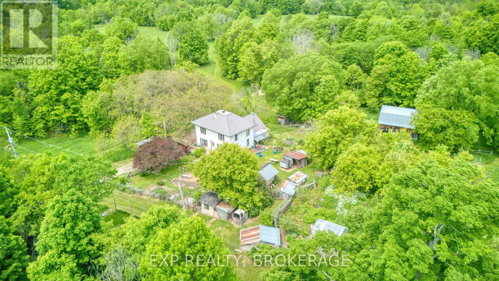 Primary Property View