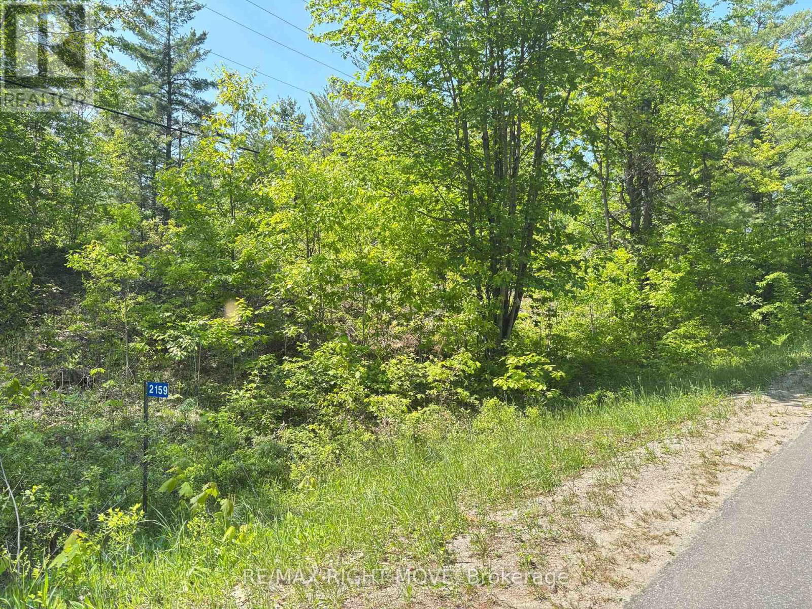 2159 SOUTHWOOD ROAD Image 1